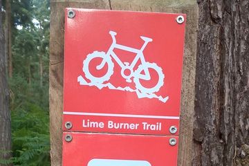 Lime Burner Trail - Thetford Forest - 