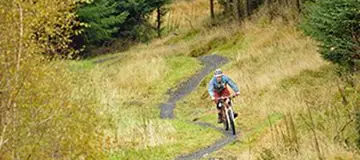 Mabie Forest Mountain Bike Centre