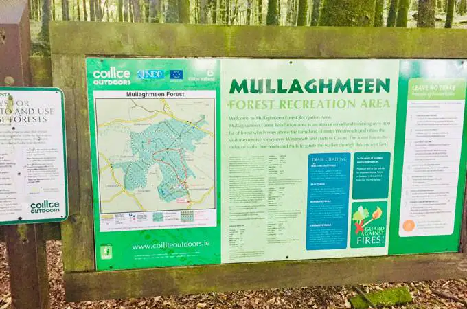 Mullaghmeen Forest Mountain Bike Trails - 