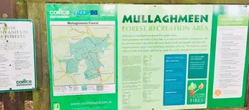Mullaghmeen Forest Mountain Bike Trails
