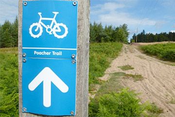 Poacher Trail - Thetford Forest - 