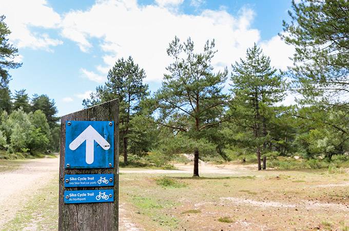 Sika Cycle Trail - Wareham Forest