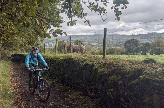 Tame Valley Mountain Bike Trails