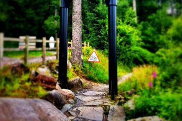 Temptiwr Trail - Coed-y-Brenin