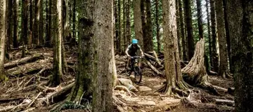 Tiger Mountain Bike Trails