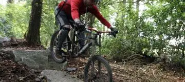Tollymore Forest Mountain Bike Trails