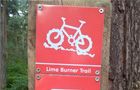 Lime Burner Trail - Thetford Forest