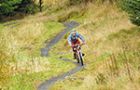 Mabie Forest Mountain Bike Centre