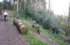 Challenge Trail - Haldon Forest