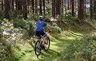 Swinton Bivouac Mountain Bike Trails