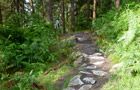 The Twister Trail - Kirroughtree