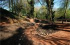 Woodchester Mountain Bike Trails