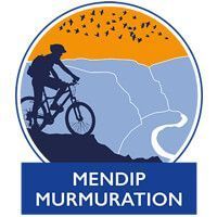 Mendip Murmuration 2024