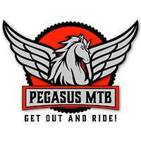 Christmas Jumping! - Pegasus MTB Coaching