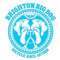 Brighton Big Dog 2016