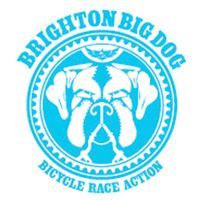 Brighton Big Dog 2017