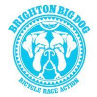 Brighton Big Dog 2018