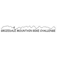 Grizedale Challenge 2017